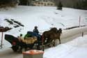 Paardenkoets Sils im Engadin/Segl / Zwitserland: 