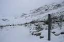 Moteratsch Glacier Tongue Pontresina / Switzerland: 