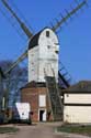 Moulin  Vent Ramsey  TENDRING / Angleterre: 
