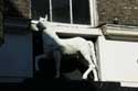 Het Fantisch Witte Paard Hotel Ipswich / Engeland: 