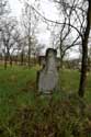 Graveyard Barsana / Romania: 