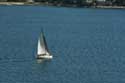 Vue sur mer Orbic / CROATIE: 