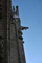 Saint Mary of the Navity Cathedral (Duomo) Milan (Milano) / Italia: 