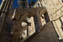 Saint Mary of the Navity Cathedral (Duomo) Milan (Milano) / Italia: 