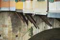 Vecchio Brug (Ponte Vecchio) Firenze / Italia: 