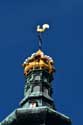 Nieuw Kerk / Lange Jan Middelburg / Nederland: 