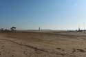 Beach with Palm Trees Coma-Ruga / Spain: 