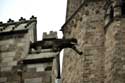 Holy Cross Cathedral (Santa Crou) Barcelona / Spain: 