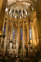 Cathdrale de la Crois Sainte Barcelona / Espagne: 