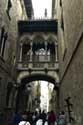 Gothic Bridge (Puente Gtico) Barcelona / Spain: 