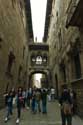 Gothic Bridge (Puente Gtico) Barcelona / Spain: 