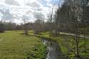 Marais de Jette - Ganshoren et Molenbeek JETTE photo: 