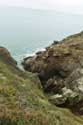 Pointe du Grouin La Broustire / FRANCE: 