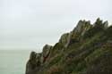 Pointe du Grouin La Broustire / FRANCE: 