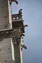 Our Ladies' Cathedral (Notre Dame) Paris / FRANCE: 