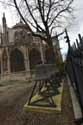 Cathdrale Notre Dame Paris / FRANCE: 