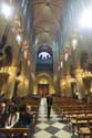 Onze-Lieve-Vrouwekathedraal (Notre Dame) Parijs in Paris / FRANKRIJK: 