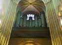 Onze-Lieve-Vrouwekathedraal (Notre Dame) Parijs in Paris / FRANKRIJK: 