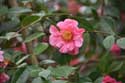 Flowers Leeds / United Kingdom: 