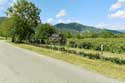 Roses Field Skobelevo / Bulgaria: 