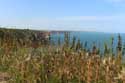 Cape Kaliakra / Bulgaria: 