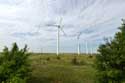 Windmills on Via Pontica Balgarevo / Bulgaria: 