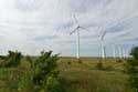 Windmills on Via Pontica Balgarevo / Bulgaria: 