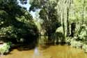 River Le Thouet Montreuil-Bellay / FRANCE: 