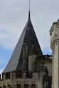 Castle Saumur / FRANCE: 