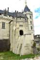 Castle Saumur / FRANCE: 