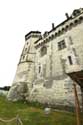 Castle Saumur / FRANCE: 