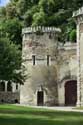 Cunault Castle Chnehutte-Trves-Cunault / FRANCE: 