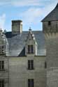 Coudray Montpensier Castle Chinon / FRANCE: 