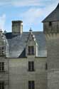 Kasteel van Coudray Montpensier Chinon / FRANKRIJK: 