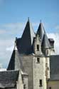 Kasteel van Coudray Montpensier Chinon / FRANKRIJK: 