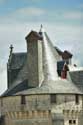 Coudray Montpensier Castle Chinon / FRANCE: 