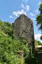 Ruine van Huis Chinon / FRANKRIJK: 