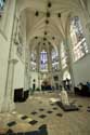 Saint Louis' Chapel Champigny-sur-Veude / FRANCE: 