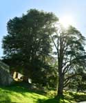 Ussee Castle Uss in Rigny / FRANCE: 