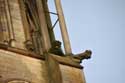 Cathédrale Notre Dame Senlis / FRANCE: 