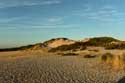 Vue de Mer Cayeux-sur-Mer / FRANCE: 