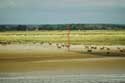 Vue sur Parc Baye de la Somme Saint-Valry-sur-Somme / FRANCE: 