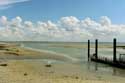 Harbor Le Hourdel / FRANCE: 