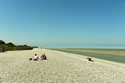 Strand, zee en Zeehonden Le Hourdel / FRANKRIJK: 