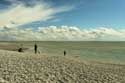 Plage, Mer et Phoques Le Hourdel / FRANCE: 