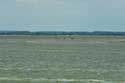 Beach, Sea and Seals Le Hourdel / FRANCE: 