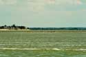 Beach, Sea and Seals Le Hourdel / FRANCE: 