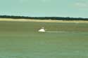 Beach, Sea and Seals Le Hourdel / FRANCE: 