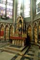 Onze-Lieve-Vrouwekathedraal AMIENS / FRANKRIJK: 