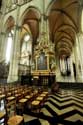 Cathédrale Notre Dame AMIENS / FRANCE: 